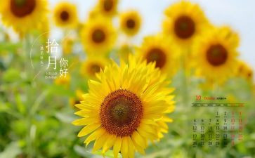 幼儿园教师10月份工作总结5篇