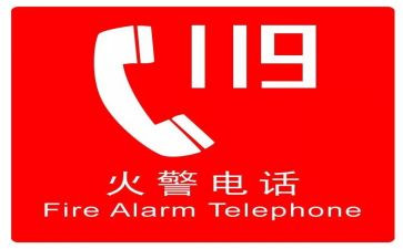 119小班活动方案精选5篇