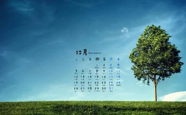 小班12月工作计划5篇