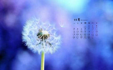 2024年12月个人总结推荐6篇