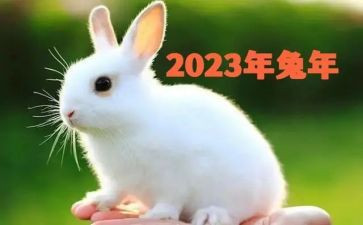 2023秋开学典礼讲话稿最新8篇