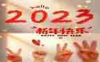 2023年小学科学教研工作计划5篇