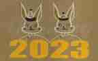 2023社会工作报告推荐6篇