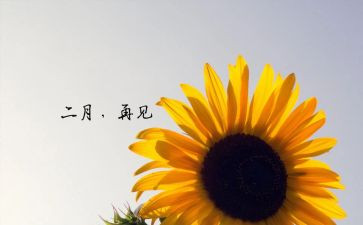 大大班2月份工作计划5篇