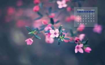 幼师2月份工作计划5篇