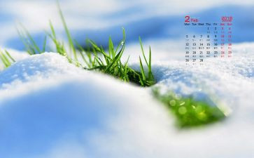 幼儿大班2月份工作计划7篇