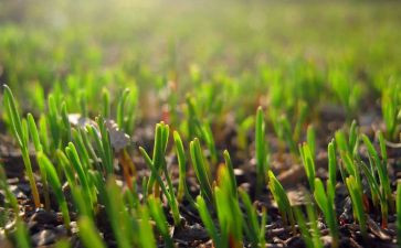 3月安全讲话稿5篇