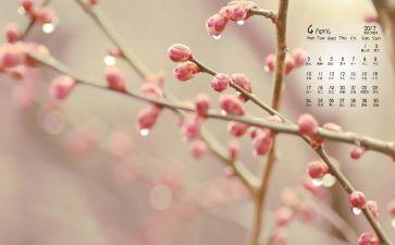 4月中班月总结6篇