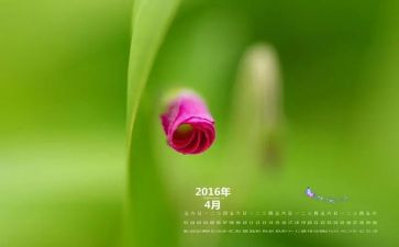 教师4月份工作计划8篇