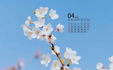 14月工作计划模板7篇