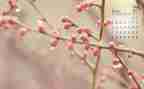 4月中班月总结6篇