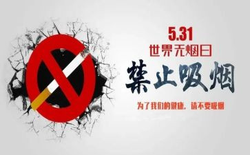 531培训总结优秀5篇