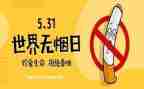 531培训心得体会参考5篇
