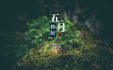 小学班主任5月份工作总结6篇