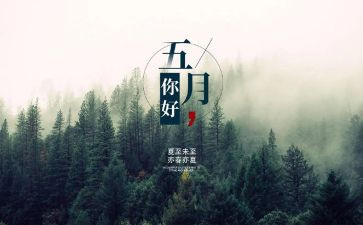 5月29活动总结8篇