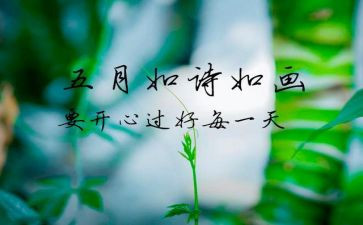5月行政工作总结通用5篇