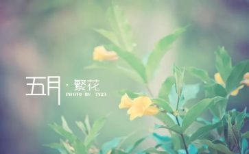 幼儿5月工作计划5篇