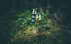 小学班主任5月份工作总结6篇