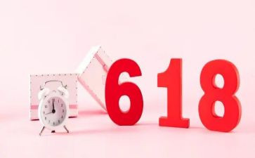 618活动工作总结精选6篇