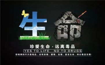 学校626禁毒活动总结7篇