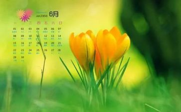 幼儿园小班教师6月份工作总结7篇