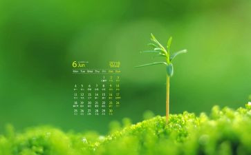 6月工作计划模板8篇