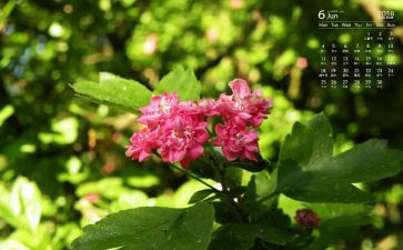 6月青协工作总结推荐8篇