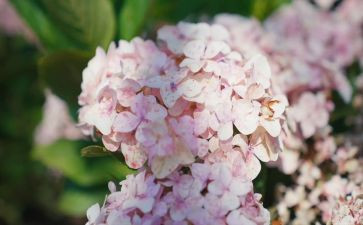 2024年7月总结最新7篇