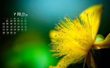 2024年7月总结模板8篇