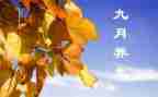 2024年9月工作总结5篇