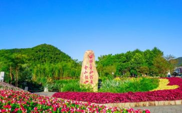 安吉游戏心得7篇