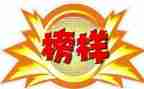 榜样5的心得体会最新5篇