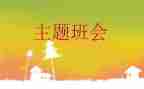 网络安全主题教育班会教案5篇