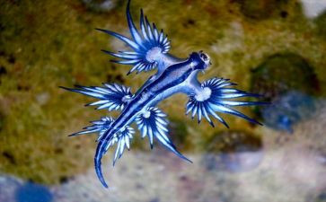 上学期生物教师工作计划模板6篇