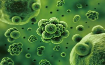 生物工作计划优秀5篇