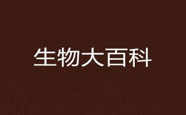 2024年生物工作总结7篇