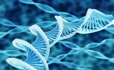 写生物园作文精选5篇