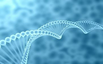 生物教师个人总结优秀7篇