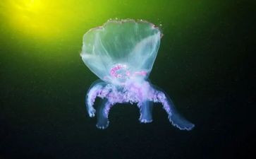 2024年生物工作总结通用7篇