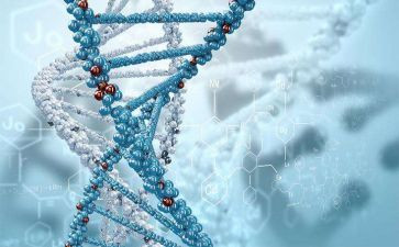 生物教师学期工作计划6篇