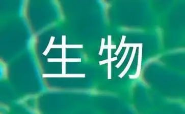 初中生物备课组工作总结5篇