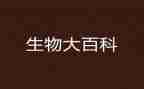 我的生物老师的作文参考5篇