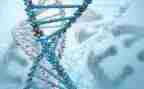 生物学期工作计划6篇