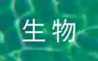 初中生物备课组工作总结5篇