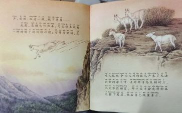 《斑羚飞渡》读书心得通用8篇