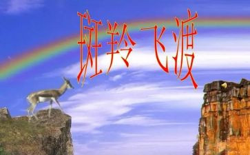 斑羚飞渡的读书心得优秀8篇