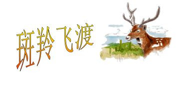 斑羚飞渡的读书心得7篇