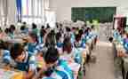 幼儿园小班特色活动总结5篇