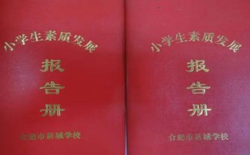实训报告册的心得体会模板8篇