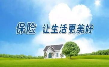 保险的工作总结范文8篇